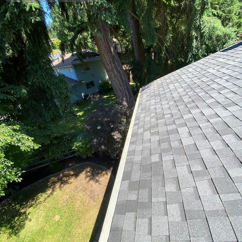 Roof shingles and gutter cleaning on residential home