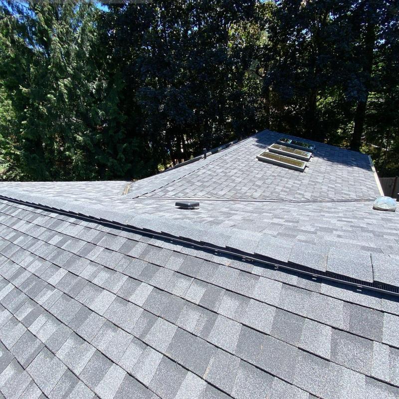 Roof shingles with ridge vent and skylights