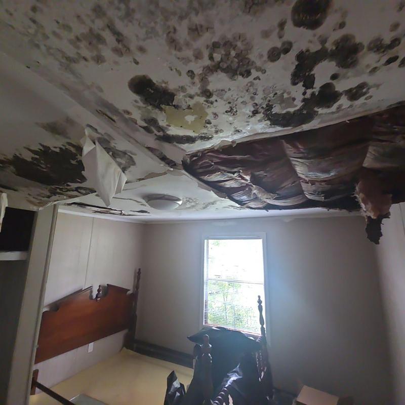 Ceiling mold and water damage with collapsed drywall Ceiling mold and water damage with collapsed drywall