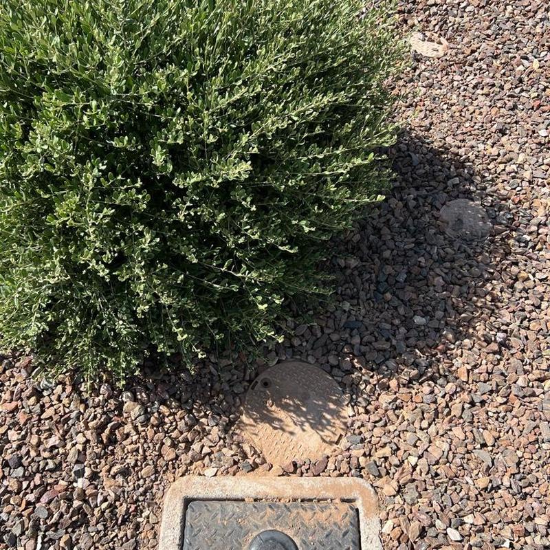 Pressure reducing valve with valve box in gravel bed