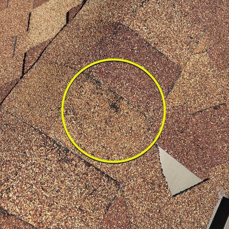 Asphalt roof shingle with hail damage marked in yellow circle