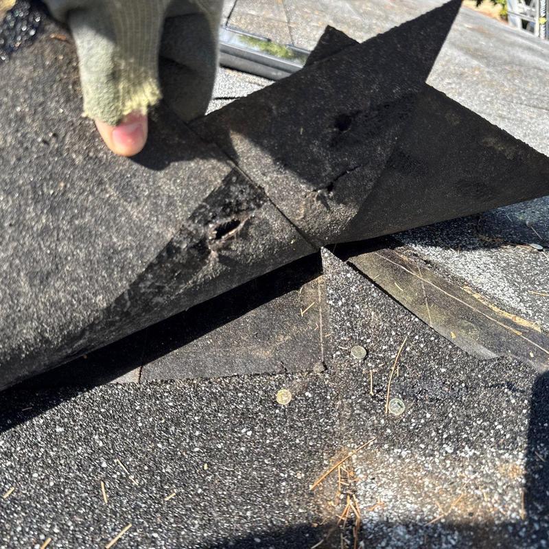 Asphalt shingles with hail damage and torn underlayment
