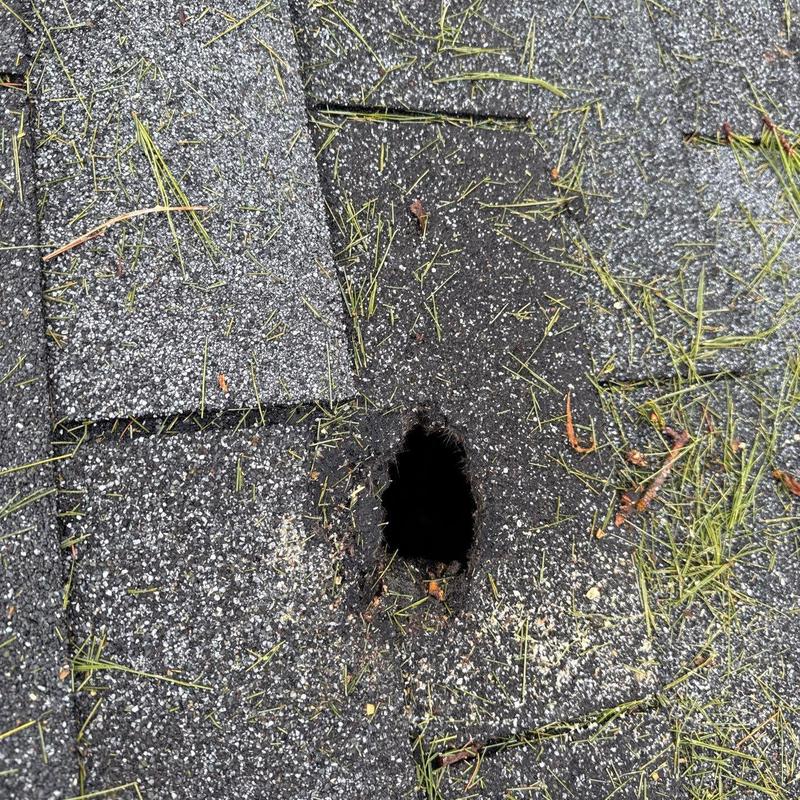 Asphalt shingle roof with hail damage hole