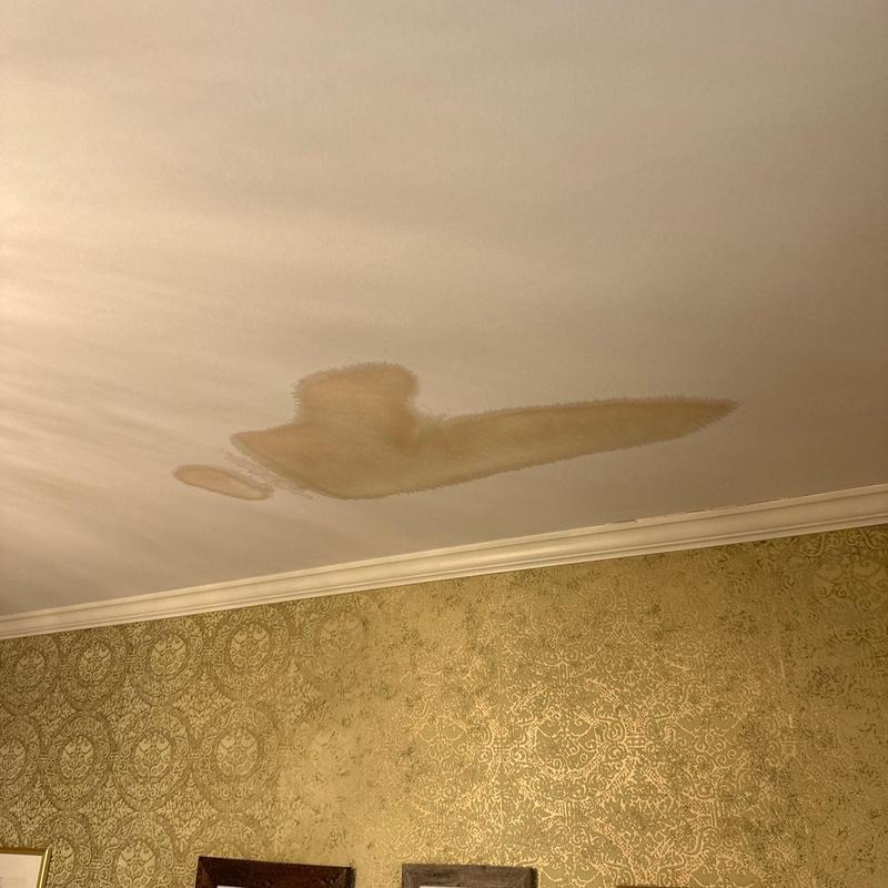Ceiling water stain from leak above crown molding