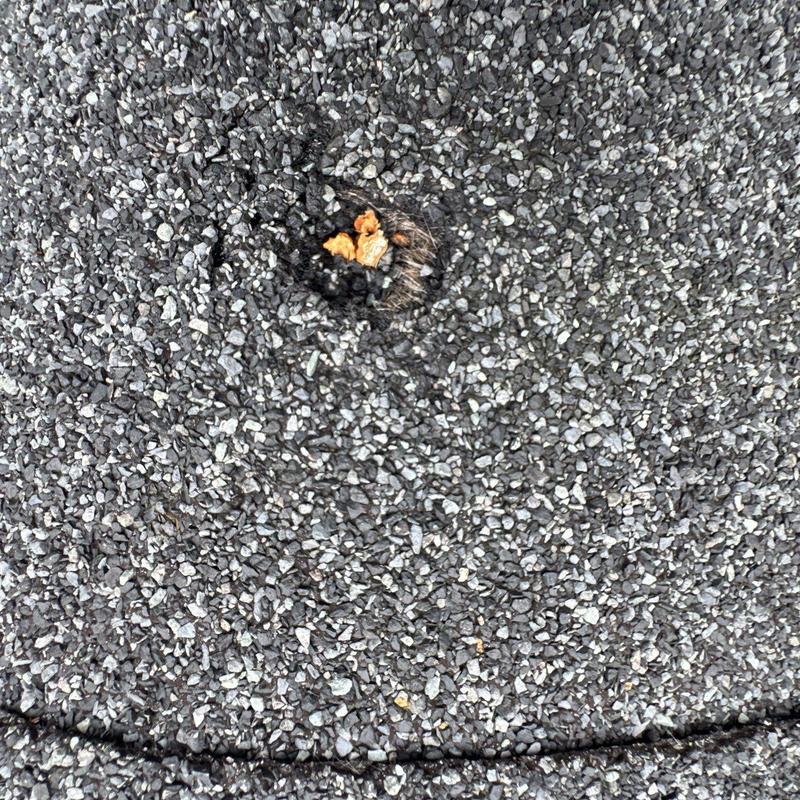 Roofing shingle granule loss from hail damage close-up