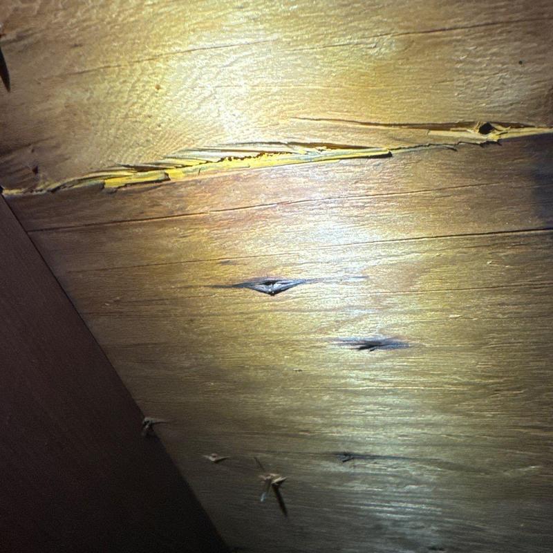 Wood decking with cracks and warping damage