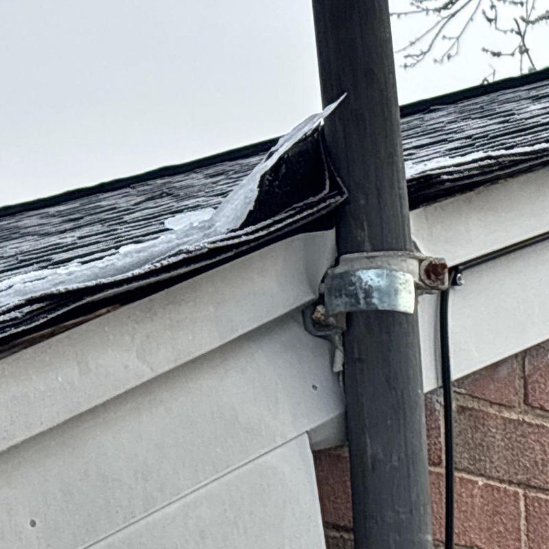 Roof shingles with curling and ice buildup on edge