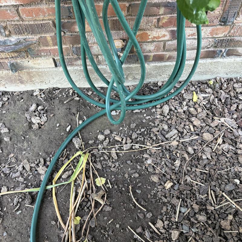 Yard water hose and soil near brick wall Yard water hose and soil near brick wall