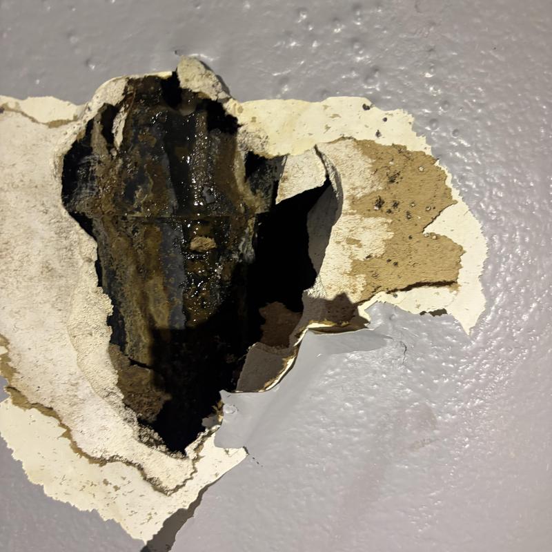 DWV ABS pipe leak visible behind damaged drywall