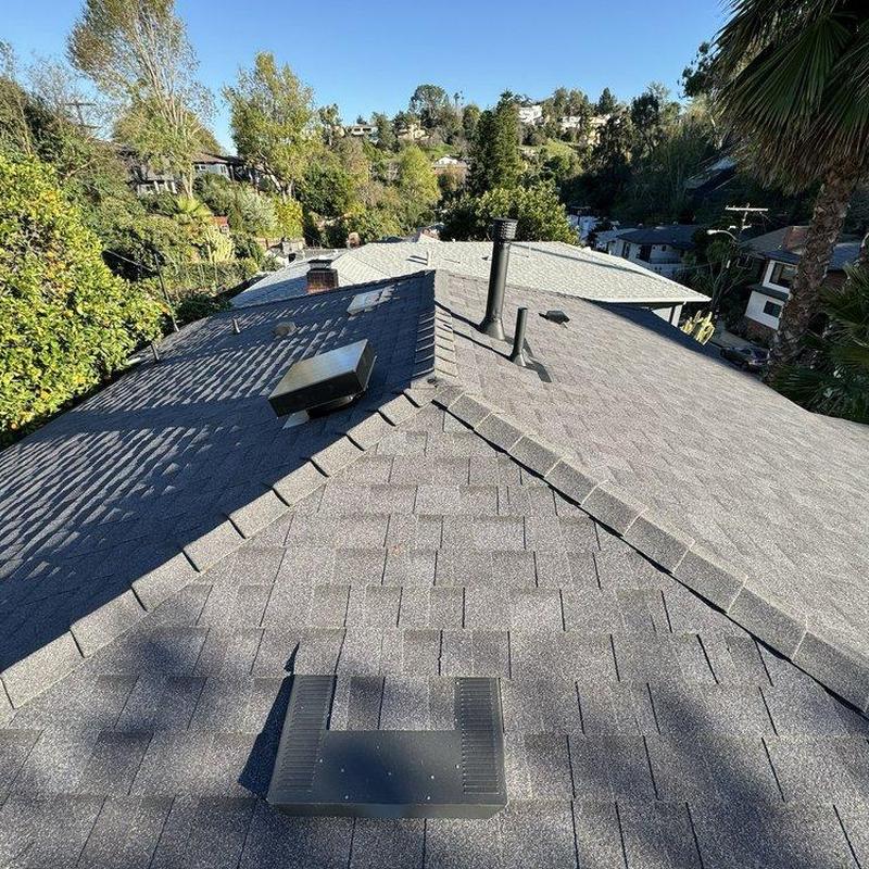 Shingle roof with vents and chimneys inspection