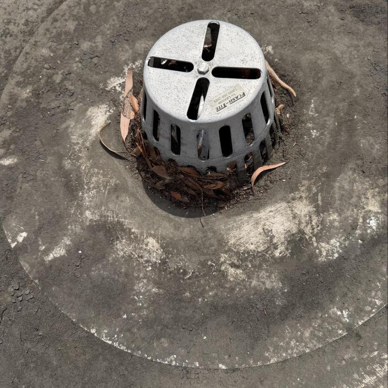 TPO roof drain with debris buildup on flat roof