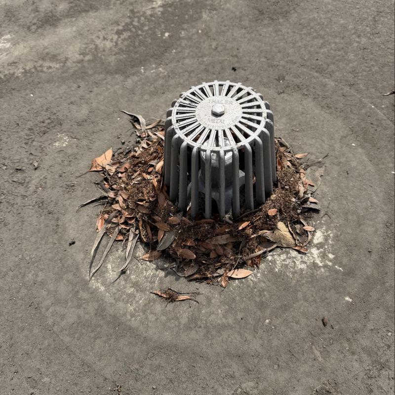 TPO roof drain clogged with leaves and debris