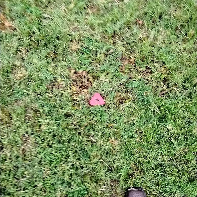 Underground cable location marker in grass field