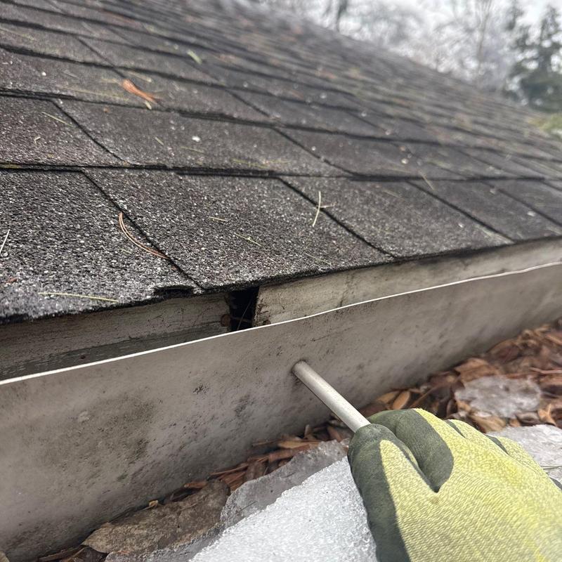 Roof shingles and flashing inspection with tool