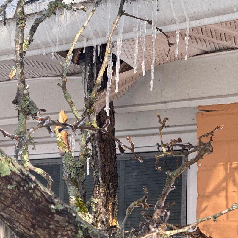 Gutter system with hanging icicles and soffit damage