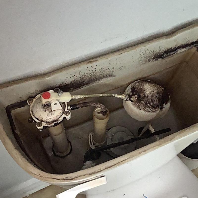 Toilet tank internal parts with corrosion and residue