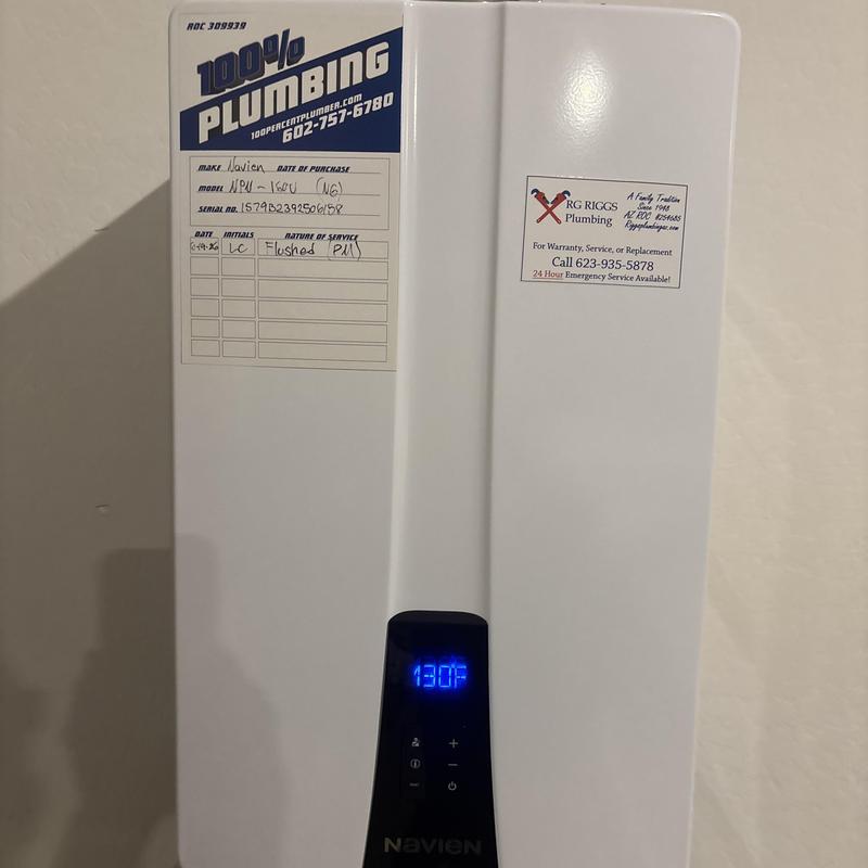 Tankless water heater with maintenance record