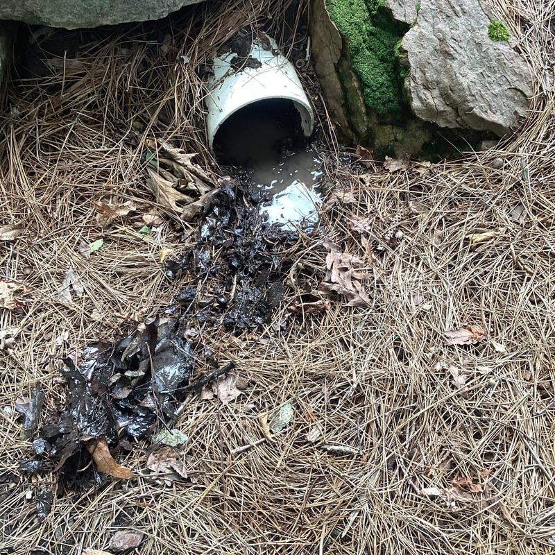 Gutter drain line with debris and water discharge