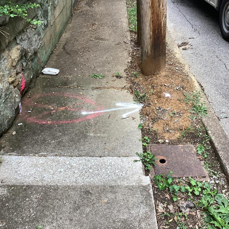 Sewer line access with utility markings near sidewalk