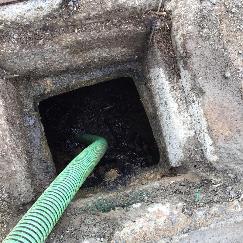 Septic tank pumping with green suction hose