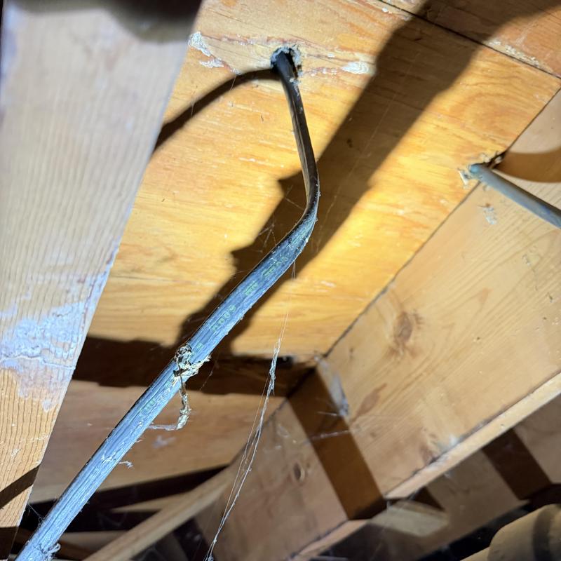 Dishwasher electrical cable running through wooden joists Dishwasher electrical cable running through wooden joists