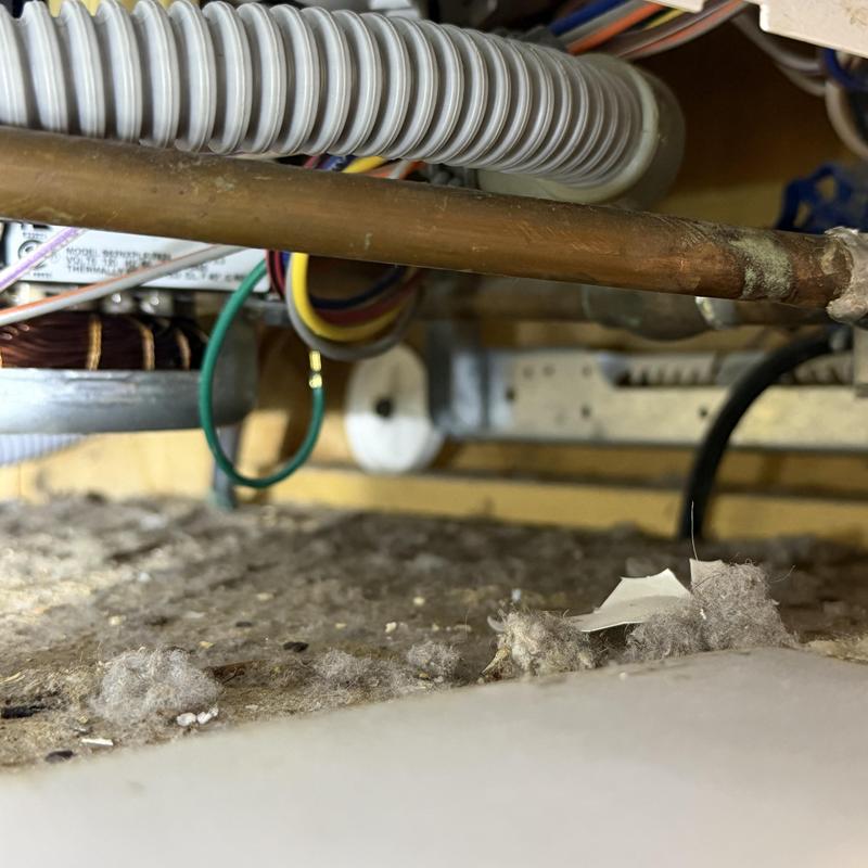 Dishwasher wiring and copper pipe under cabinet Dishwasher wiring and copper pipe under cabinet