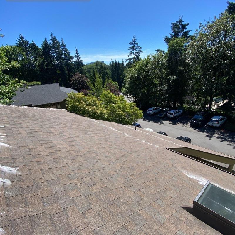 Asphalt shingle roof with skylight and tree view