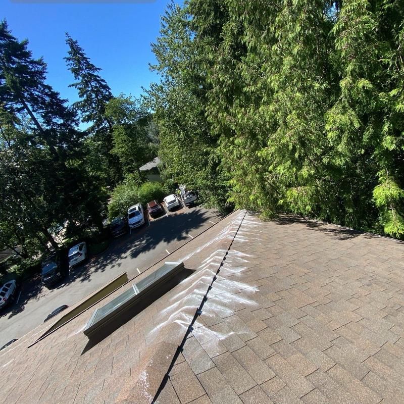 Roof shingles with chalk lines marking cleaning areas
