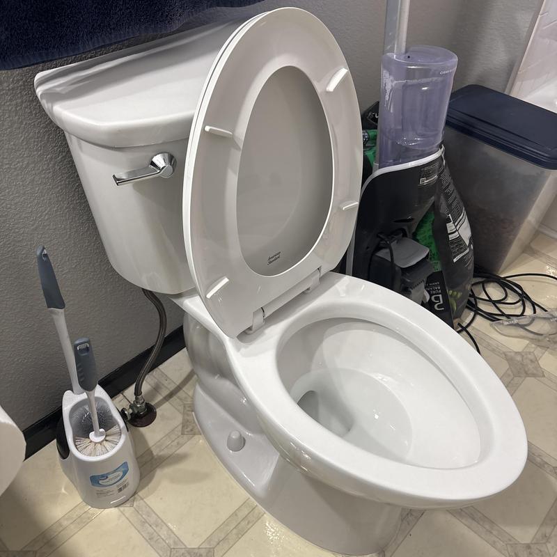 Toilet tank flush valve and fill valve inspection Toilet tank flush valve and fill valve inspection