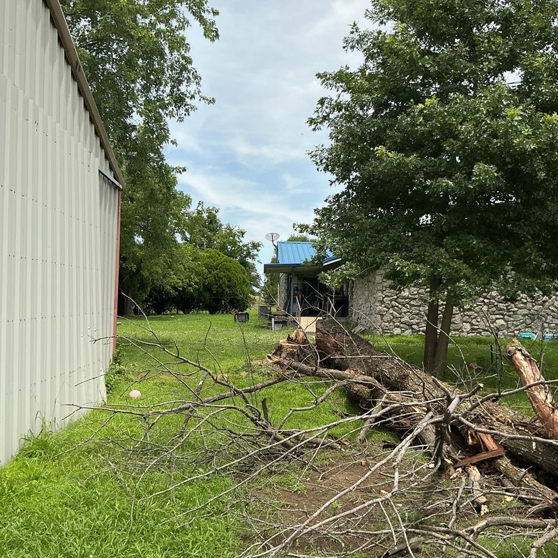 Dead tree removal near barn with debris cleanup Dead tree removal near barn with debris cleanup