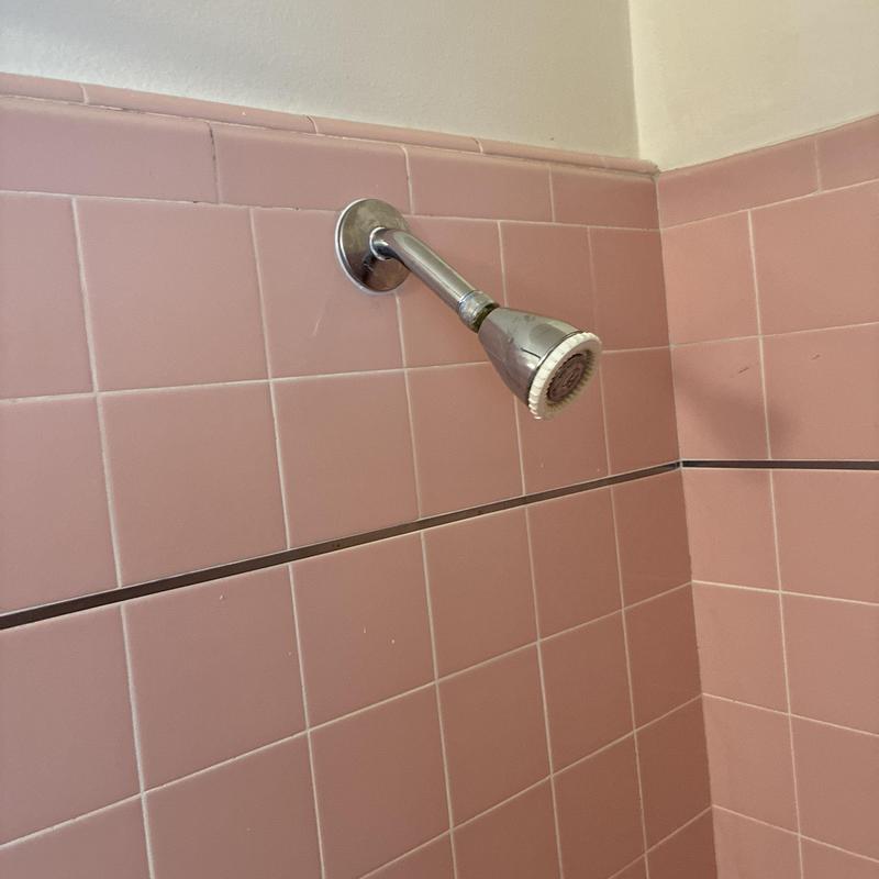 Shower arm and showerhead with pink tile surround