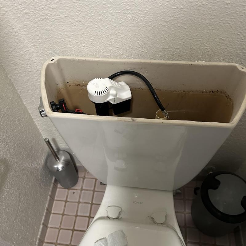 Toilet tank valve with new gasket installed