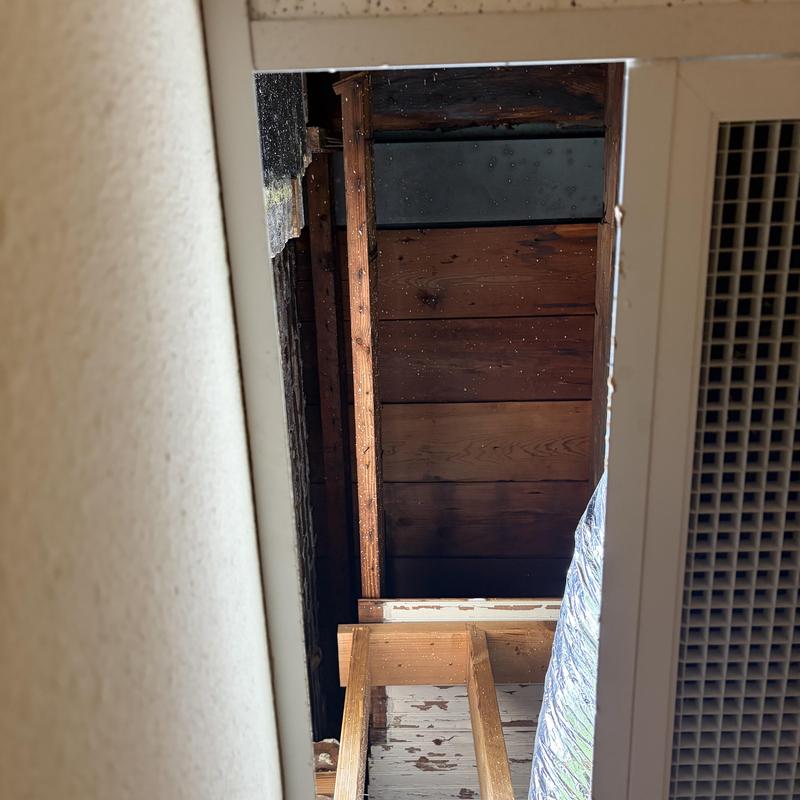 Flat roof wooden framing and decking inspection view