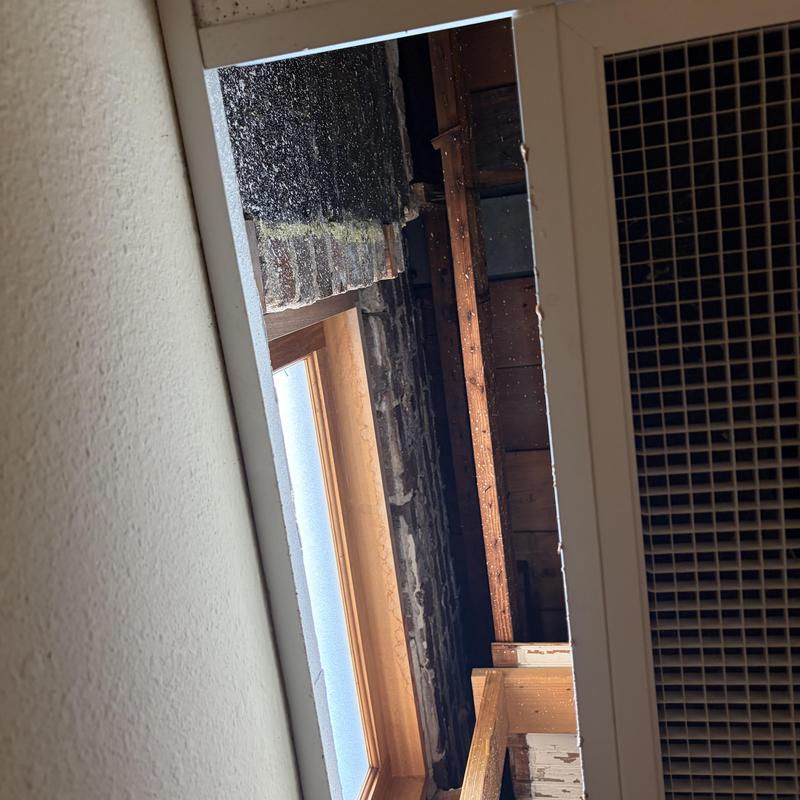 Flat roof leak inspection showing ceiling damage and beams