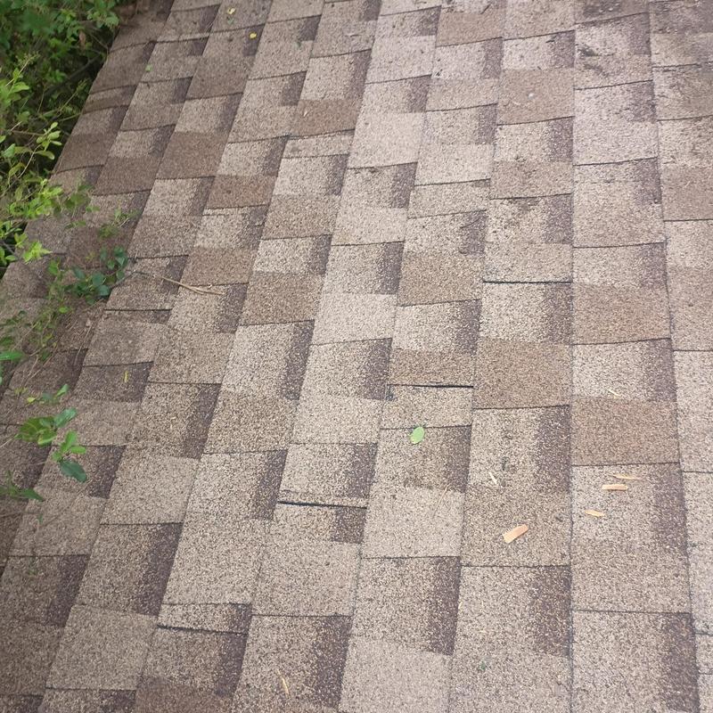 Asphalt shingle roof with debris and minor damage