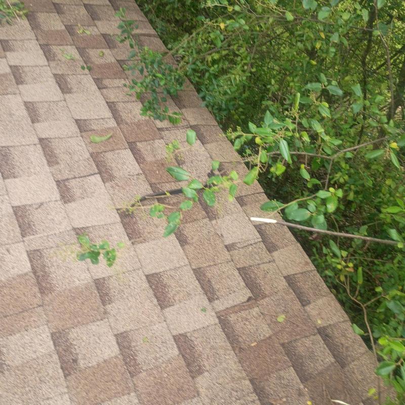 Asphalt shingle roof with branch debris and hole