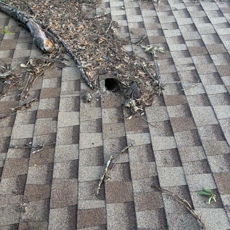 Roof shingles with hole and debris accumulation