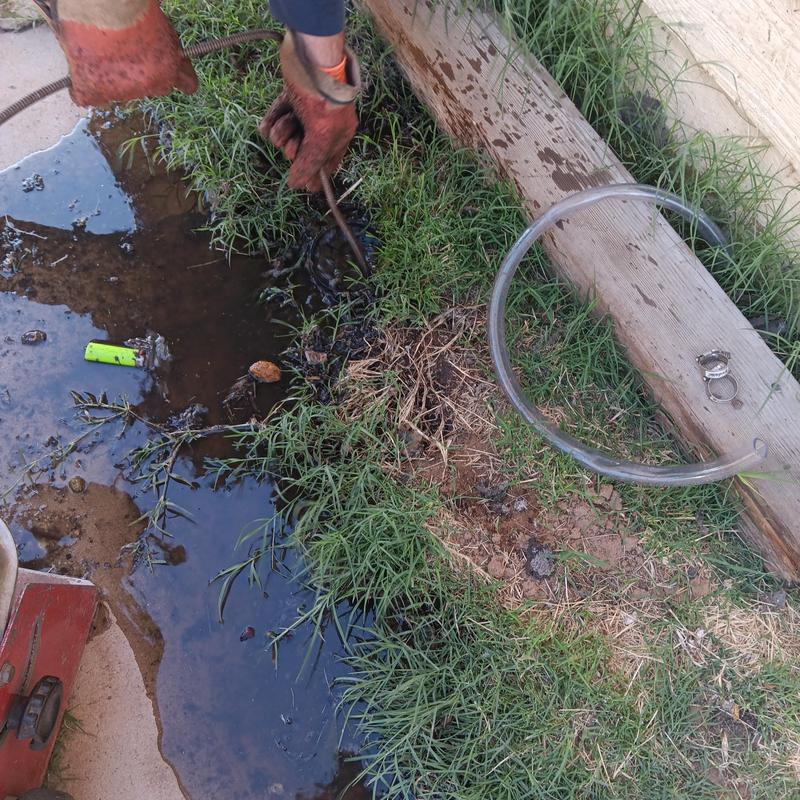 Sewer line snaking and water drainage cleanup outdoors