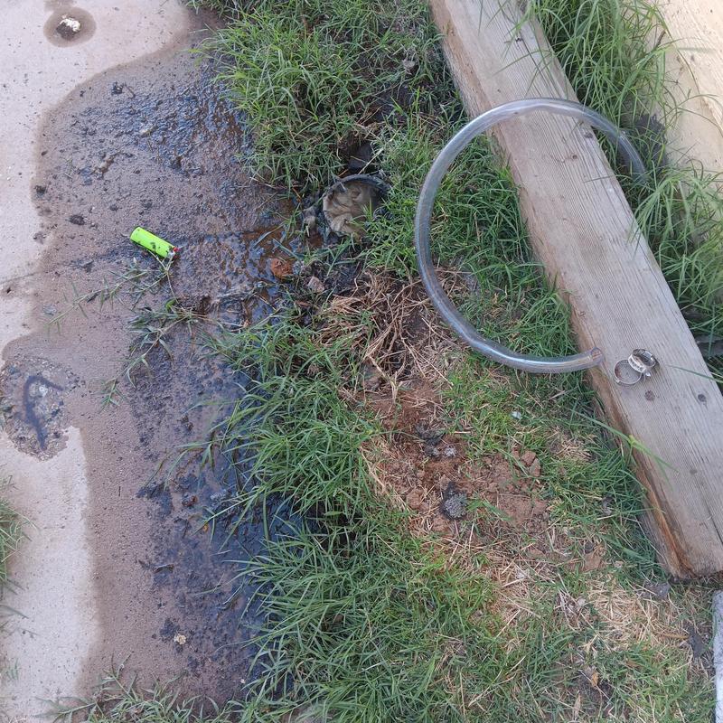 Sewer line backup with hose and water leak outdoors