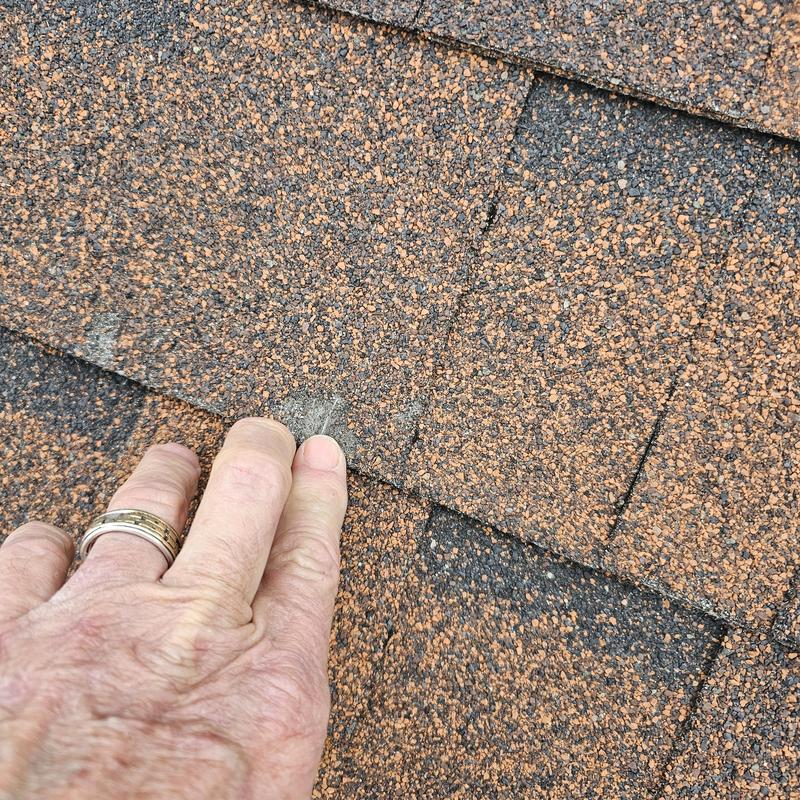 Asphalt roof shingles with hail damage close-up