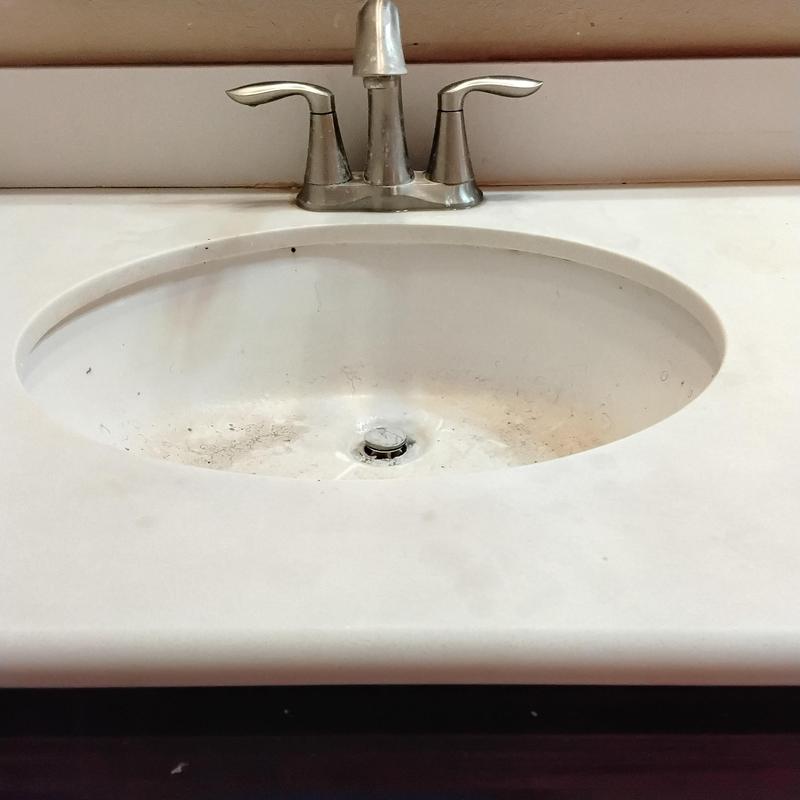 Jack and Jill lavatory sink with faucet and drain