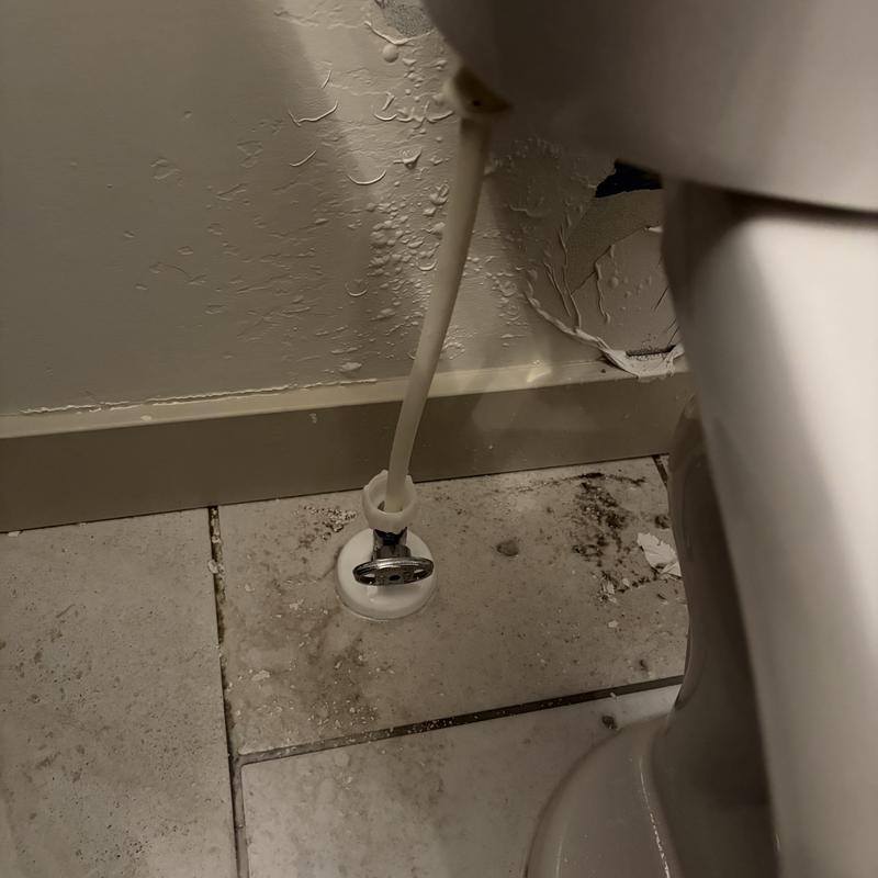 Toilet supply line with valve and wall damage Toilet supply line with valve and wall damage