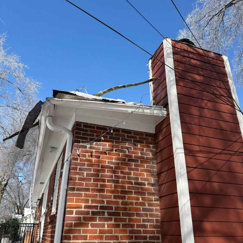 Roof shingles with branch damage and ice buildup