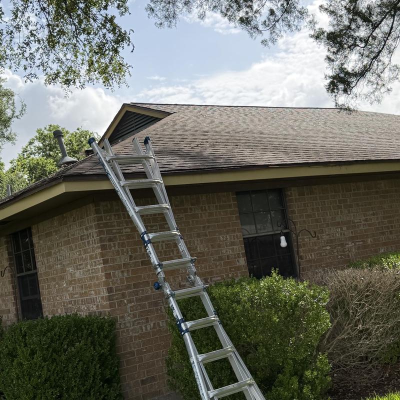 Shingle roof with inspection ladder on brick house