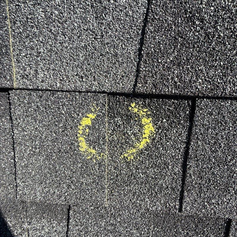 Asphalt roof shingles with yellow hail damage markings
