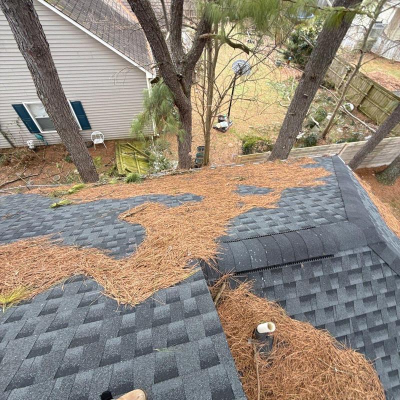Asphalt shingle roof covered with pine needles