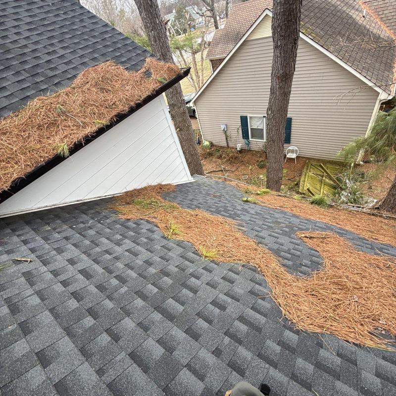 Asphalt shingle roof with pine needle debris accumulation