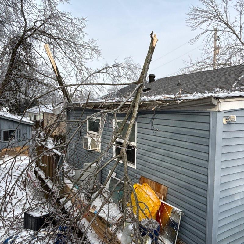 Roof shingles with broken tree branch impact