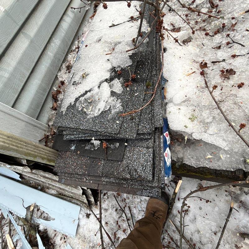 Roof shingles with hail damage and debris nearby