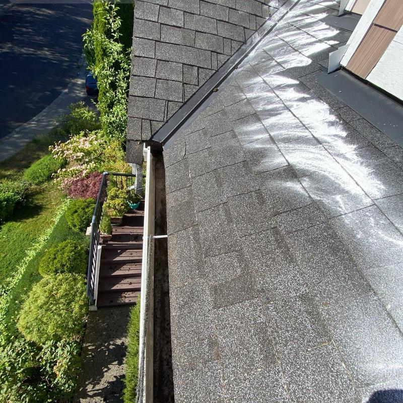 Asphalt shingle roof with moss treatment and gutter cleaning